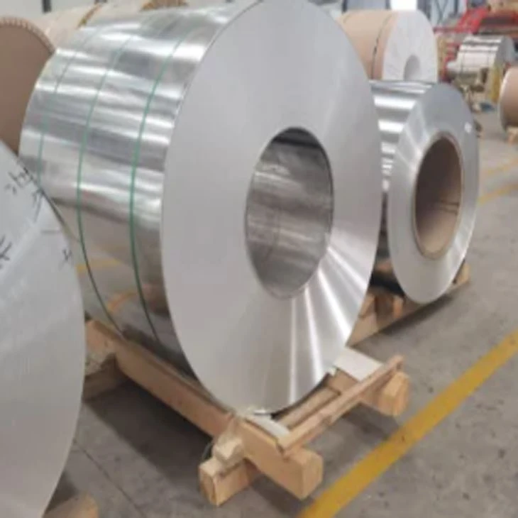 1.4541 Stainless Steel Coil--austenitic Stainless Steel