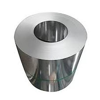 Alloy 310S Coil