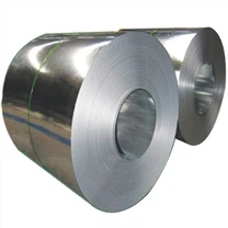 STS329J1 Coil Dur Di-staen